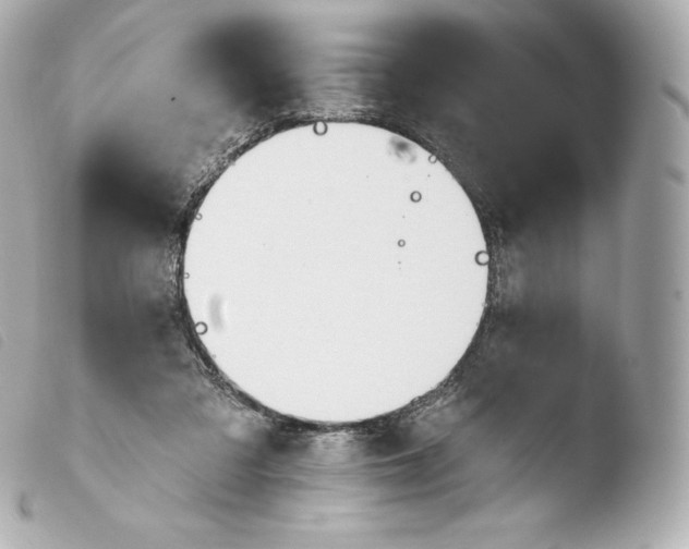 X0000103910309200810031219