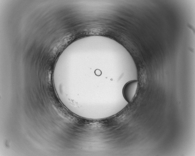 X0000103910310200810031219