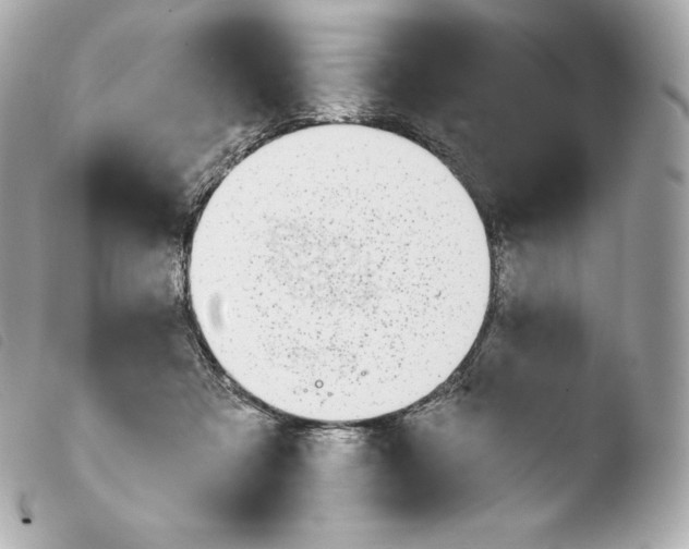 X0000103910313200810031219