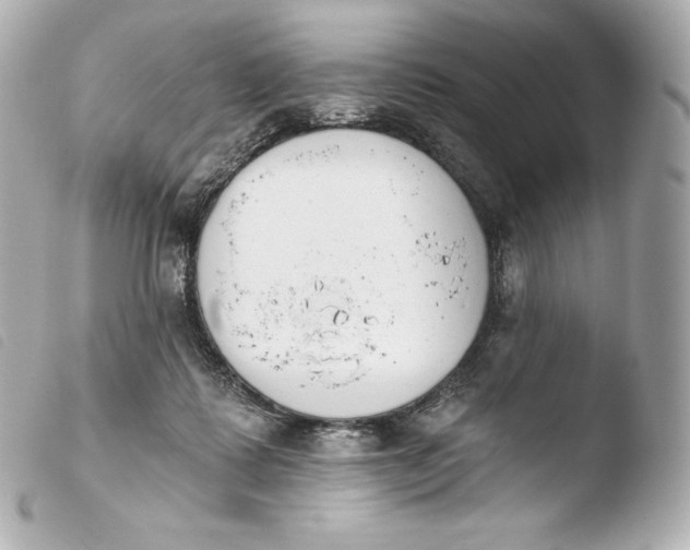 X0000103910315200810031219