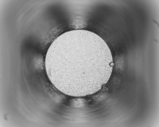 X0000103910316200810031219