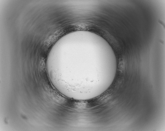 X0000103910318200810031219