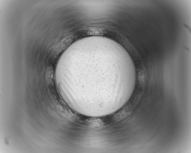 X0000103910322200810031219