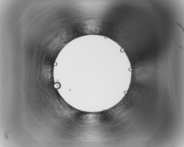 X0000103910323200810031219