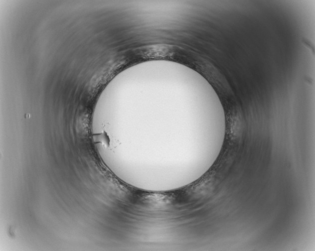X0000103910326200810031219