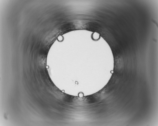 X0000103910329200810031219