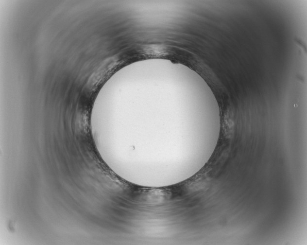 X0000103910330200810031219