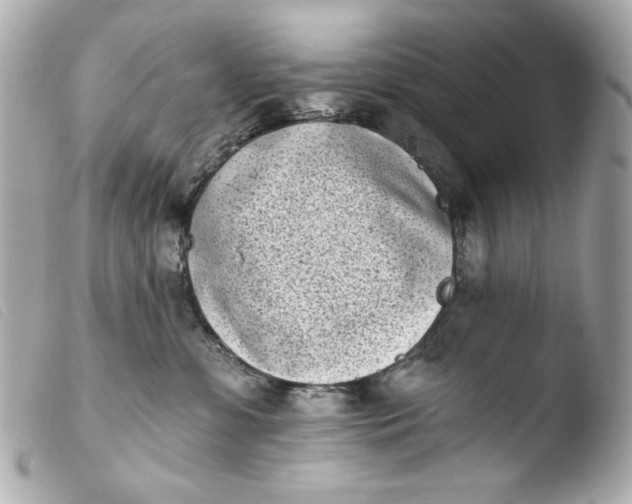 X0000103910331200810031219