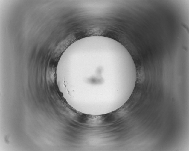 X0000103910334200810031219