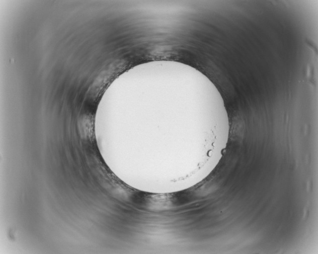 X0000103910335200810031219