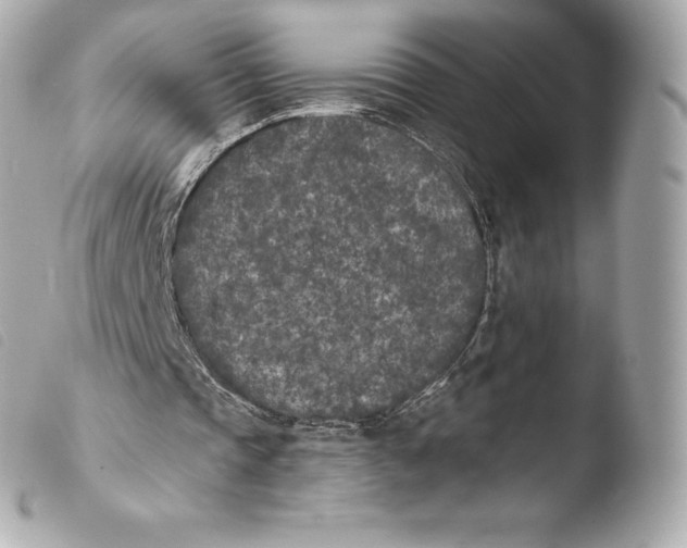 X0000103910337200810031218