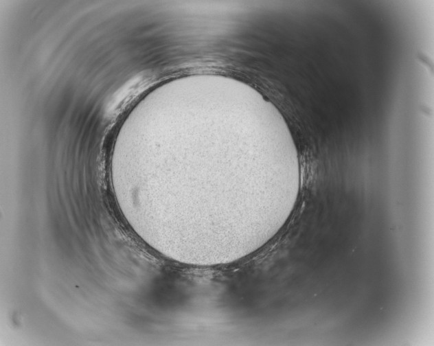 X0000103910339200810031218