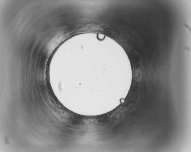 X0000103910340200810031218