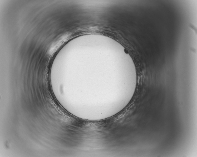 X0000103910341200810031218