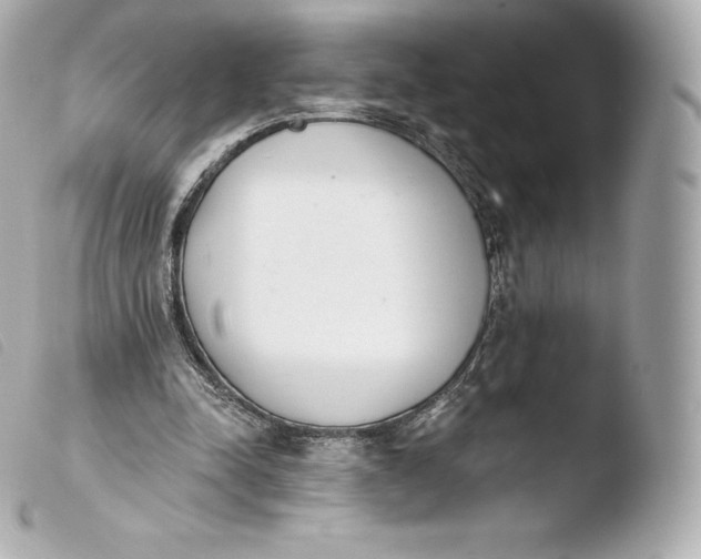 X0000103910342200810031218
