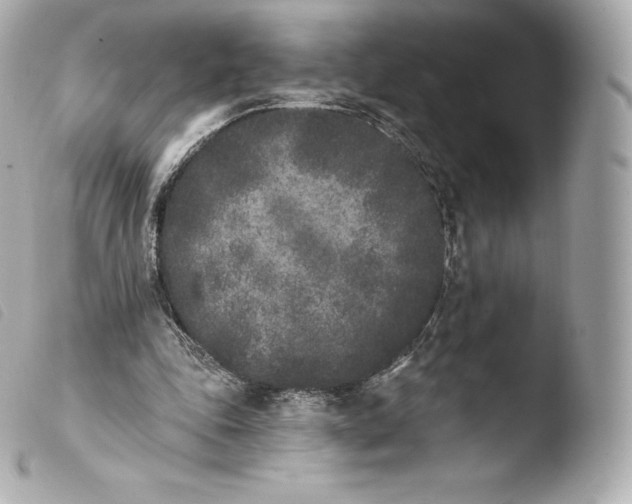 X0000103910343200810031218