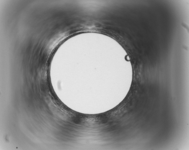 X0000103910344200810031218