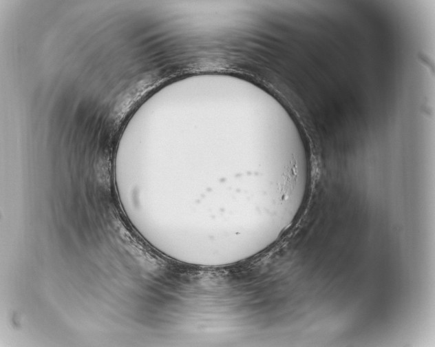 X0000103910345200810031218