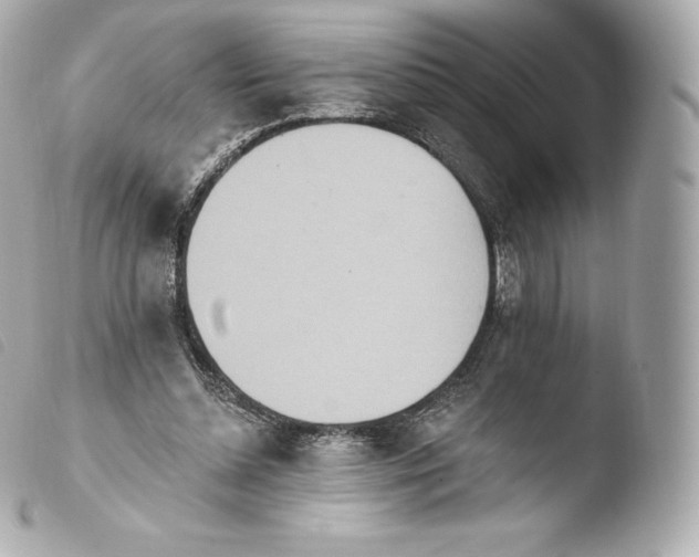 X0000103910348200810031218