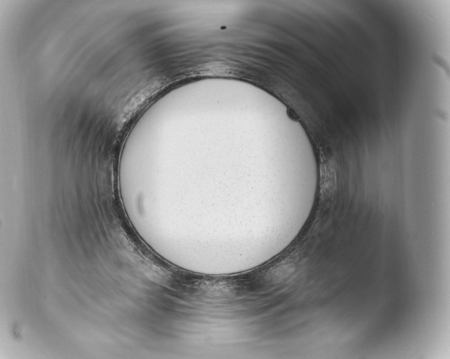 X0000103910349200810031218