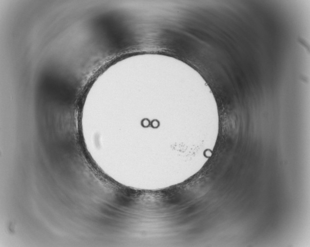 X0000103910350200810031218