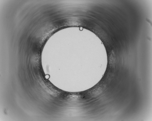 X0000103910352200810031218