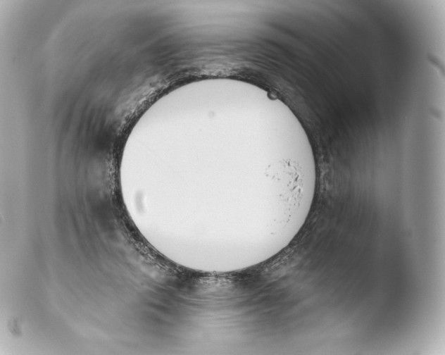 X0000103910354200810031218
