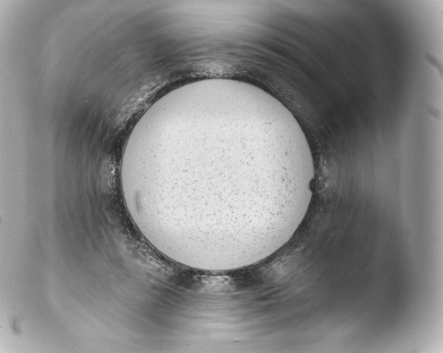 X0000103910355200810031218