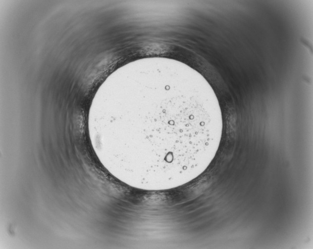 X0000103910362200810031218