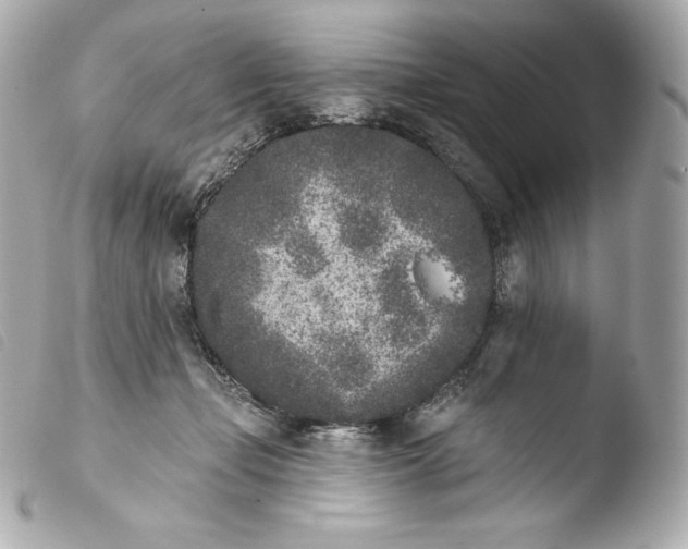 X0000103910365200810031218