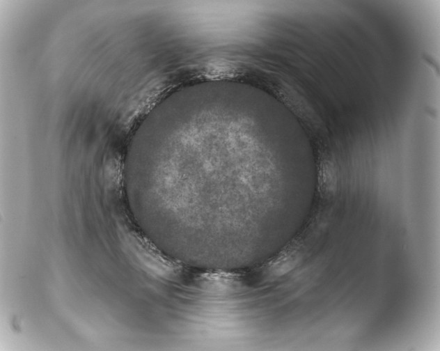 X0000103910367200810031218