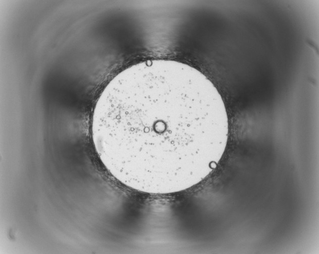 X0000103910368200810031218