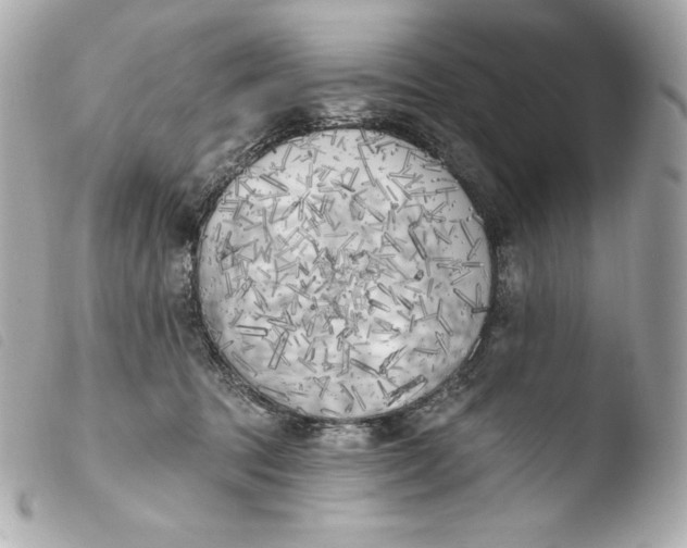 X0000103910369200810031218