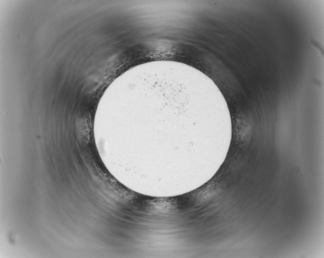 X0000103910370200810031218