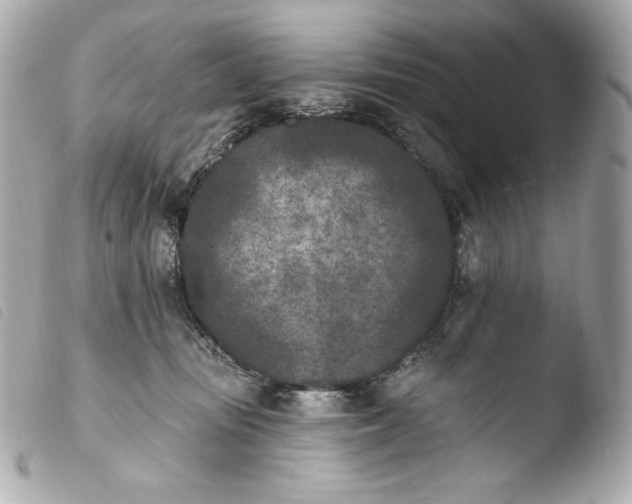 X0000103910371200810031218