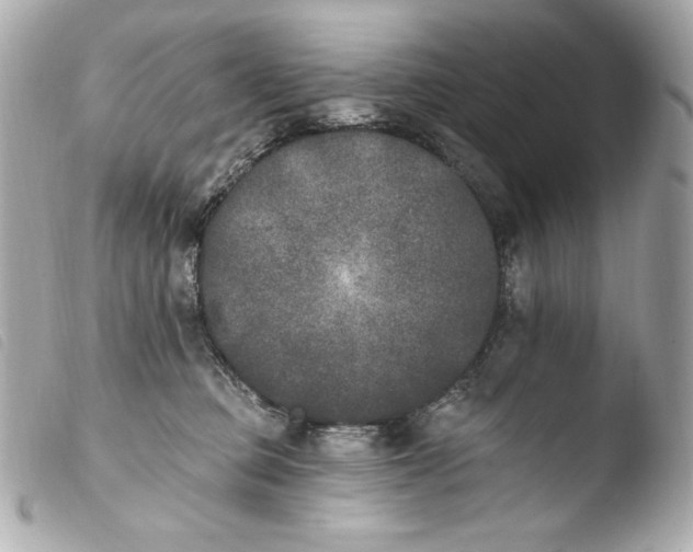 X0000103910373200810031218