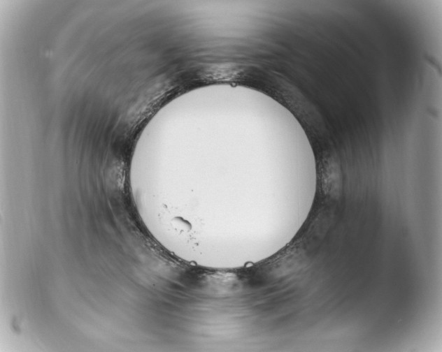 X0000103910374200810031218