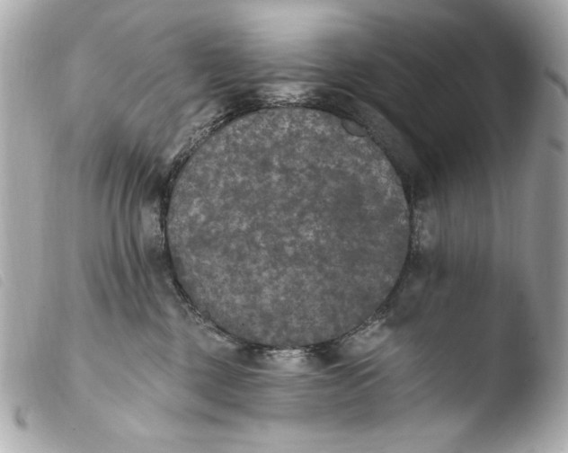 X0000103910377200810031219