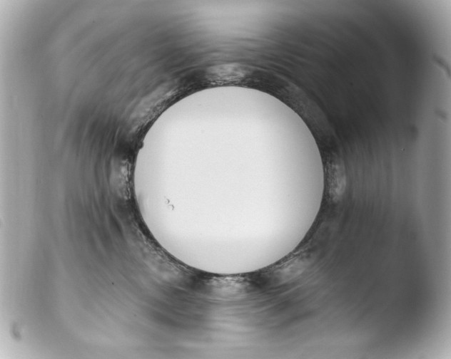 X0000103910378200810031219