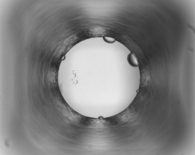X0000103910379200810031219