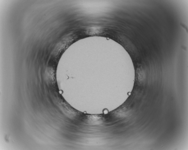 X0000103910380200810031219