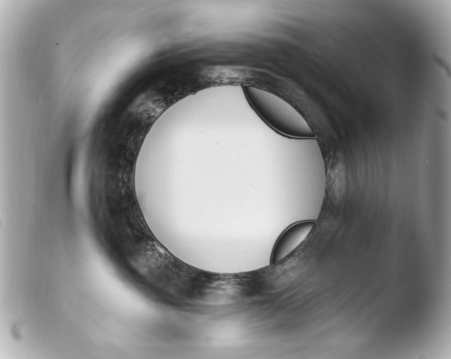 X0000103910381200810031219