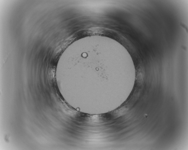 X0000103910382200810031219