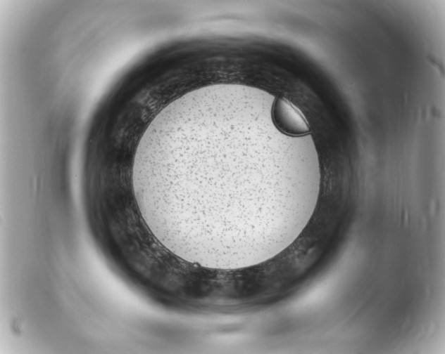 X0000103910383200810031219