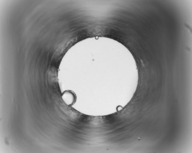 X0000103910384200810031219