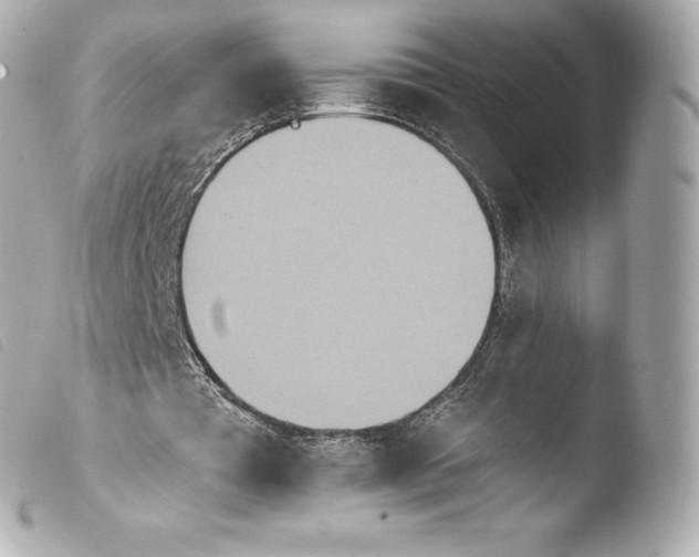 X0000103910385200810031218