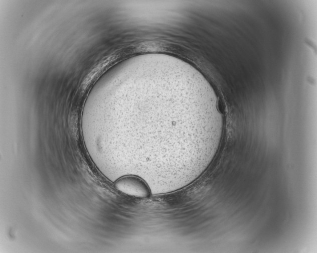 X0000103910386200810031218