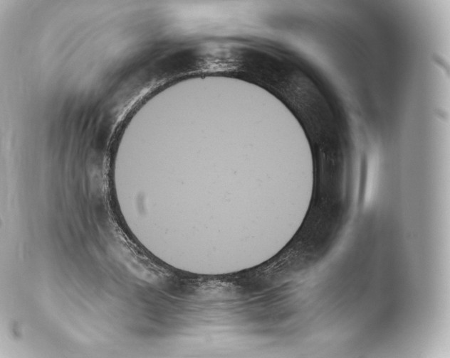X0000103910387200810031218