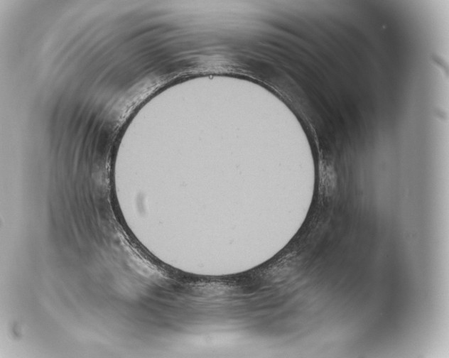 X0000103910389200810031218