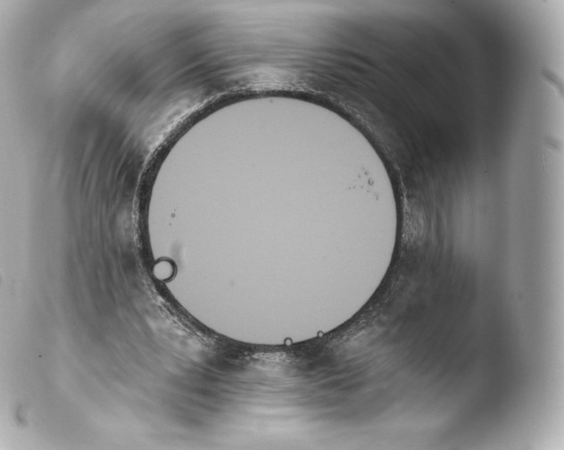 X0000103910391200810031218